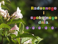 kartka_r063