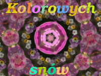 kartka_r064