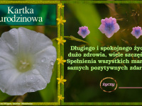 kartka_r072