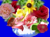 kartka_r053