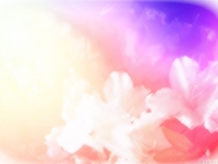 kartka_r056