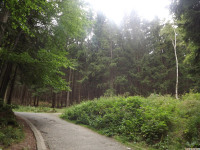 DSCF0846