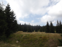 DSCF0857