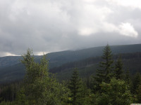 DSCF0859