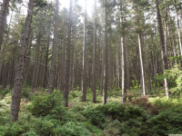 DSCF0867