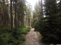 DSCF0868
