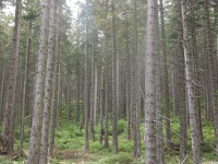 DSCF0869