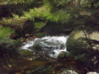 DSCF0876