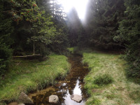 DSCF0880