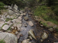 DSCF0882