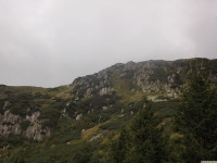 DSCF0885