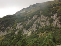 DSCF0888