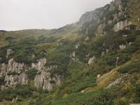 DSCF0889