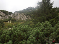 DSCF0898