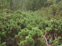 DSCF0899