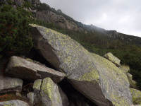 DSCF0902