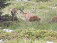 DSCF0910