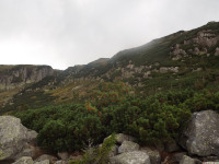 DSCF0918