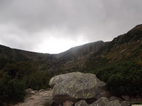 DSCF0919