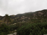 DSCF0920