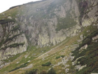 DSCF0930