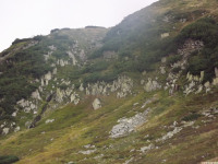 DSCF0931