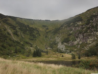 DSCF0950