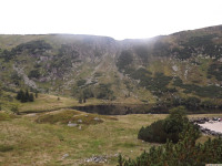 DSCF0964