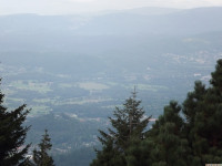 DSCF0968