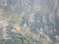 DSCF0973
