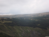 DSCF0981