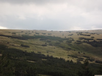 DSCF0982