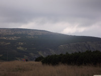 DSCF0986