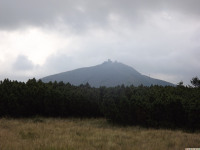 DSCF0992