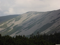 DSCF1010