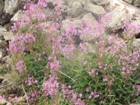 DSCF1030