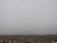 DSCF1066