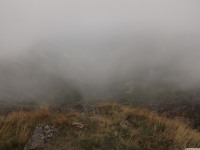 DSCF1081