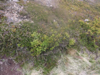 DSCF1112