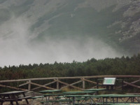 DSCF1140