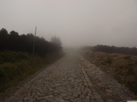 DSCF1143