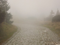 DSCF1144