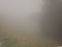 DSCF1145