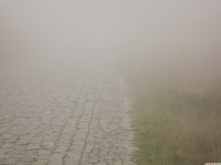 DSCF1146