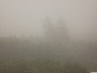DSCF1147