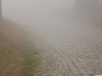 DSCF1148