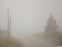 DSCF1149