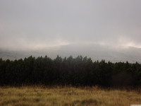 DSCF1150
