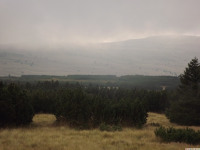 DSCF1151