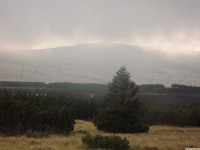 DSCF1152